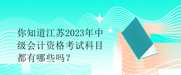 你知道江蘇2023年中級(jí)會(huì)計(jì)資格考試科目都有哪些嗎？