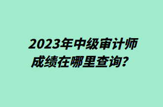 2023年中級審計師成績在哪里查詢？