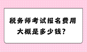 稅務(wù)師考試報名費用大概是多少錢？