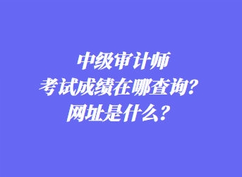 中級審計(jì)師考試成績在哪查詢？網(wǎng)址是什么？