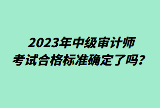 2023年中級審計師考試合格標(biāo)準(zhǔn)確定了嗎？