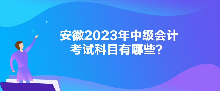 安徽2023年中級(jí)會(huì)計(jì)考試科目有哪些？