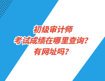 初級(jí)審計(jì)師考試成績(jī)?cè)谀睦锊樵?？有網(wǎng)址嗎？