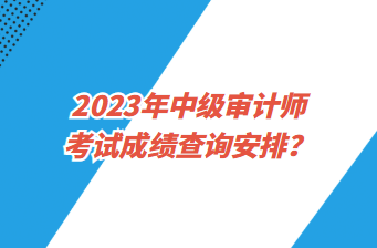 2023年中級(jí)審計(jì)師考試成績(jī)查詢安排？