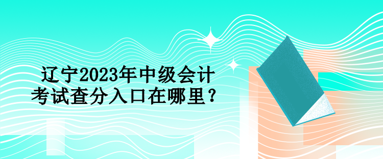 遼寧2023年中級(jí)會(huì)計(jì)考試查分入口在哪里？