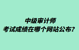 中級審計(jì)師考試成績在哪個(gè)網(wǎng)站公布？