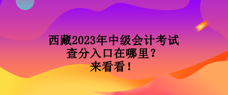 西藏2023年中級(jí)會(huì)計(jì)考試查分入口在哪里？來(lái)看看！