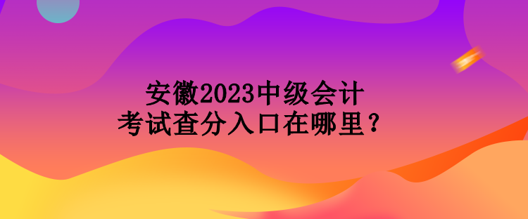 安徽2023中級會計(jì)考試查分入口在哪里？