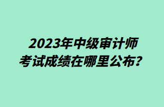 2023年中級審計師考試成績在哪里公布？