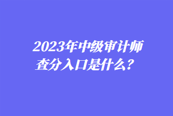 2023年中級審計師查分入口是什么？