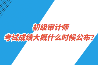 初級(jí)審計(jì)師考試成績(jī)大概什么時(shí)候公布？