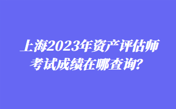 上海2023年資產(chǎn)評(píng)估師考試成績(jī)?cè)谀牟樵?xún)？