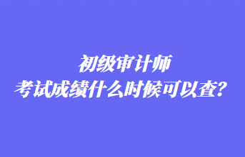 初級審計師考試成績什么時候可以查？