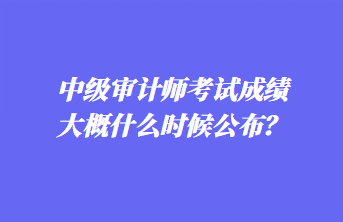 中級(jí)審計(jì)師考試成績大概什么時(shí)候公布？