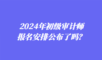 2024年初級審計師報名安排公布了嗎？