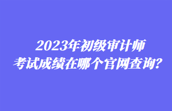 2023年初級(jí)審計(jì)師考試成績(jī)?cè)谀膫€(gè)官網(wǎng)查詢？