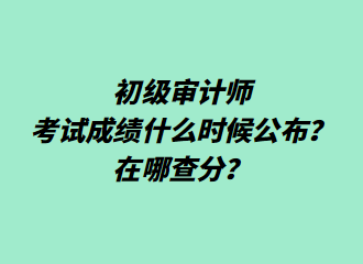 初級(jí)審計(jì)師考試成績(jī)什么時(shí)候公布？在哪查分？