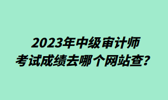 2023年中級審計(jì)師考試成績?nèi)ツ膫€(gè)網(wǎng)站查？