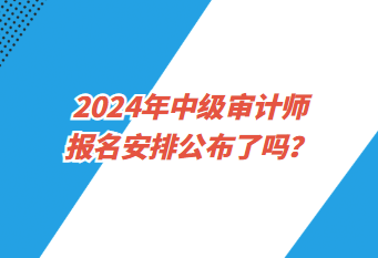 2024年中級審計師報名安排公布了嗎？