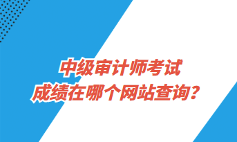 中級(jí)審計(jì)師考試成績(jī)?cè)谀膫€(gè)網(wǎng)站查詢？