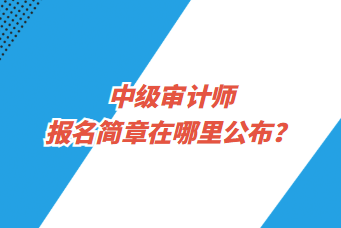 中級審計師報名簡章在哪里公布？