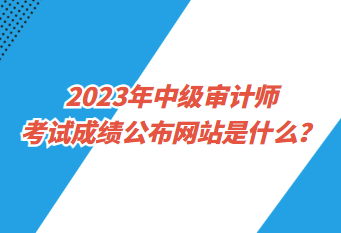 2023年中級(jí)審計(jì)師考試成績(jī)公布網(wǎng)站是什么？