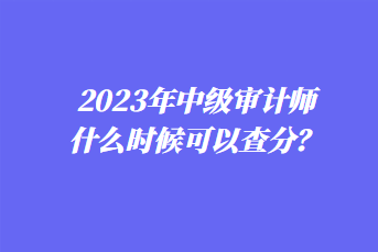 2023年中級審計師什么時候可以查分？