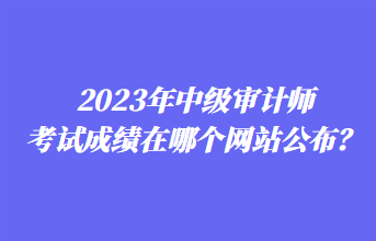 2023年中級審計師考試成績在哪個網(wǎng)站公布？