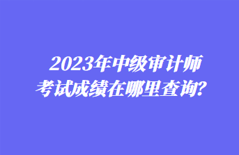 2023年中級審計師考試成績在哪里查詢？