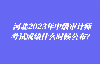 河北2023年中級審計師考試成績什么時候公布？