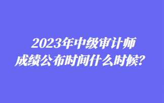 2023年中級(jí)審計(jì)師成績(jī)公布時(shí)間什么時(shí)候？