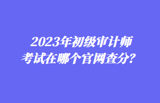 2023年初級審計師考試在哪個官網(wǎng)查分？