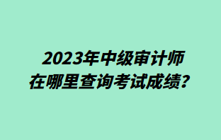 2023年中級審計師在哪里查詢考試成績？