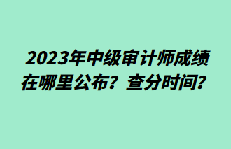 2023年中級(jí)審計(jì)師成績?cè)谀睦锕迹坎榉謺r(shí)間？