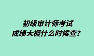 初級審計師考試成績大概什么時候查？