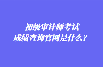 初級(jí)審計(jì)師考試成績(jī)查詢官網(wǎng)是什么？