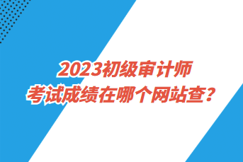 2023初級(jí)審計(jì)師考試成績(jī)?cè)谀膫€(gè)網(wǎng)站查？