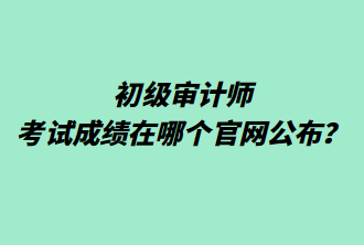 初級(jí)審計(jì)師考試成績(jī)?cè)谀膫€(gè)官網(wǎng)公布？