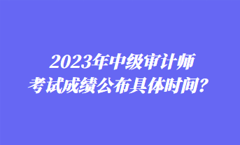 2023年中級(jí)審計(jì)師考試成績(jī)公布具體時(shí)間？