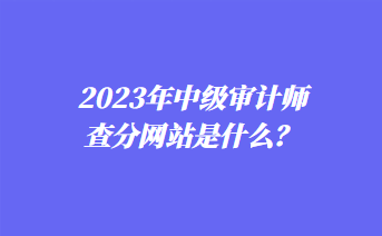 2023年中級審計師查分網(wǎng)站是什么？