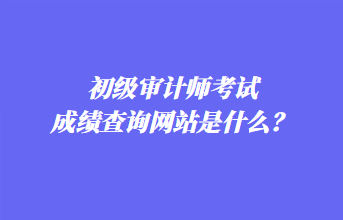 初級(jí)審計(jì)師考試成績(jī)查詢(xún)網(wǎng)站是什么？