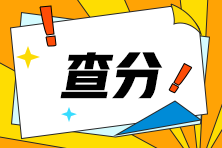 河南省2024年注會查分入口開啦！快來查分！