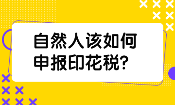 自然人該如何申報(bào)印花稅