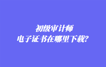 初級審計師電子證書在哪里下載？