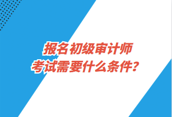 報名初級審計師考試需要什么條件？