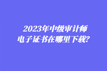 2023年中級(jí)審計(jì)師電子證書在哪里下載？