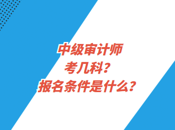 中級(jí)審計(jì)師考幾科？報(bào)名條件是什么？