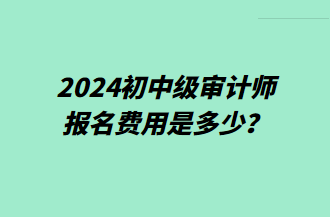 2024初中級審計師報名費用是多少？