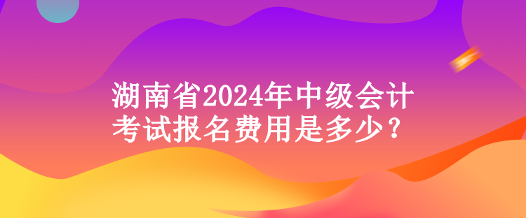 湖南省2024年中級(jí)會(huì)計(jì)考試報(bào)名費(fèi)用是多少？