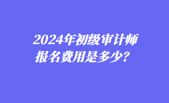 2024年初級審計師報名費用是多少？